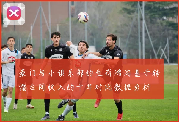 豪门与小俱乐部的生存鸿沟基于转播合同收入的十年对比数据分析