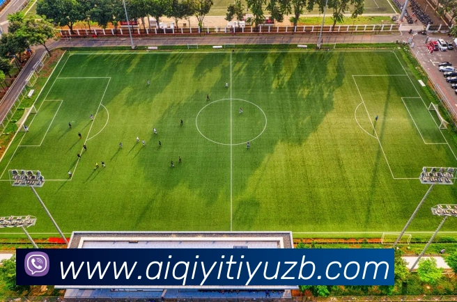 App Interface Preview